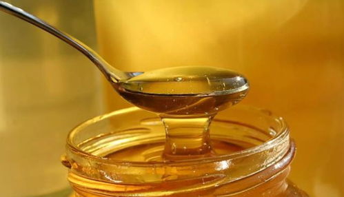 长期喝蜂蜜与从不喝蜂蜜的人比,哪个更健康呢 别被蒙在鼓里了